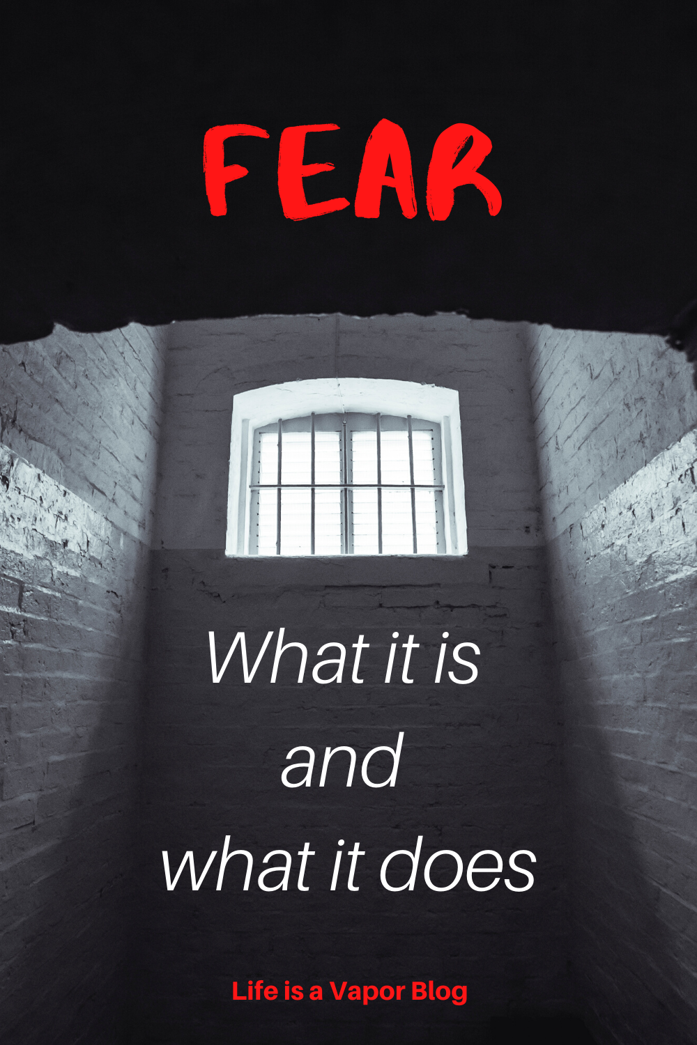 Fear_ what it is and what it does