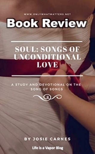 Soul Book Review Pinterest