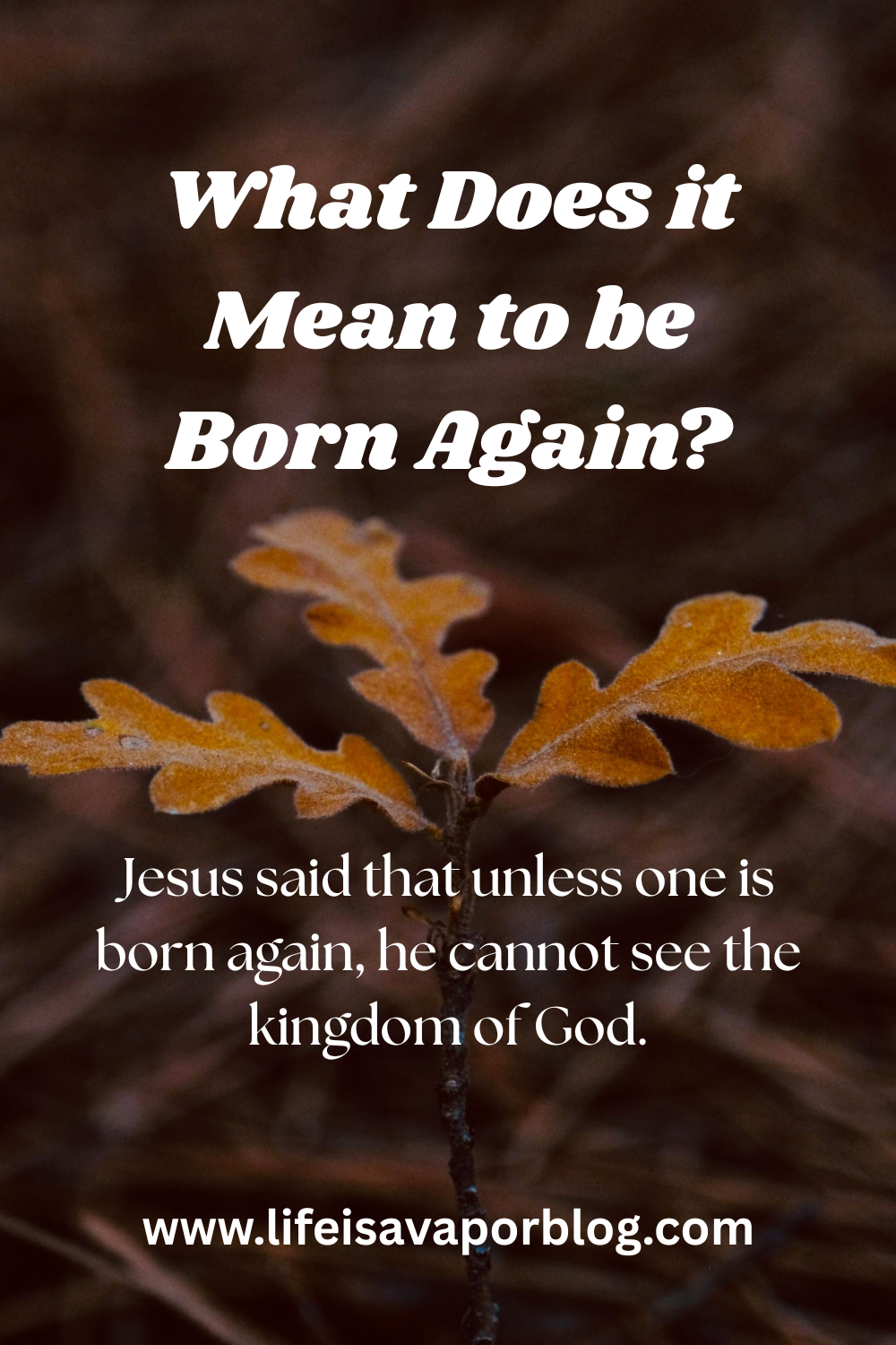 Born Again Example What Does it Mean to be Born Again? – Life is a Vapor