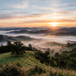 Sun rising over misty green hills with scattered trees and distant mountains